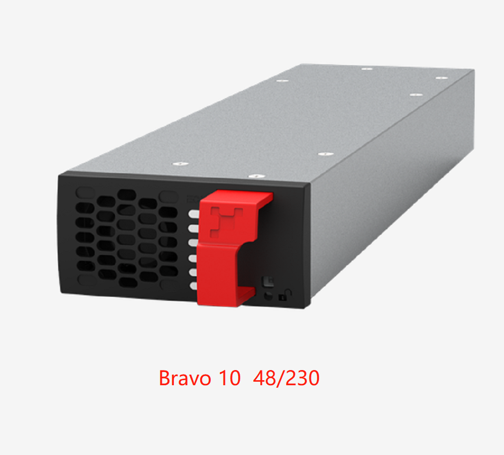 BRAV 10 48 230  (5).jpg